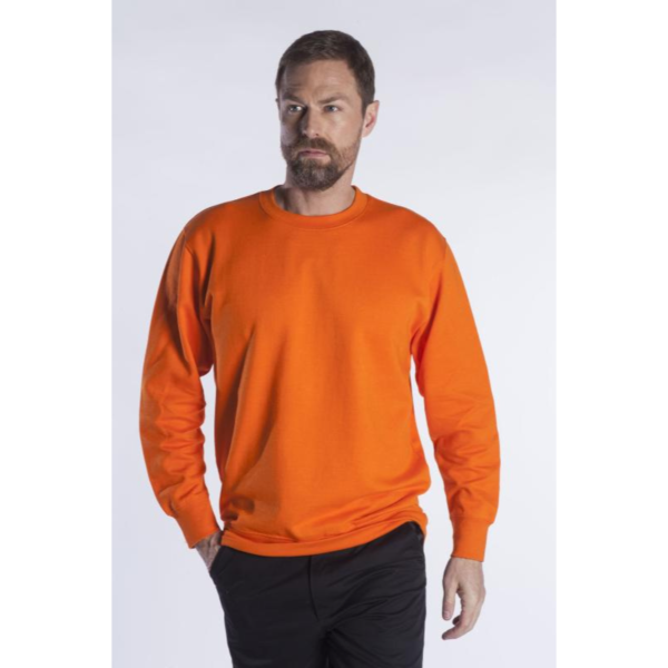 Sweatshirt (Τιμή με Κέντημα)