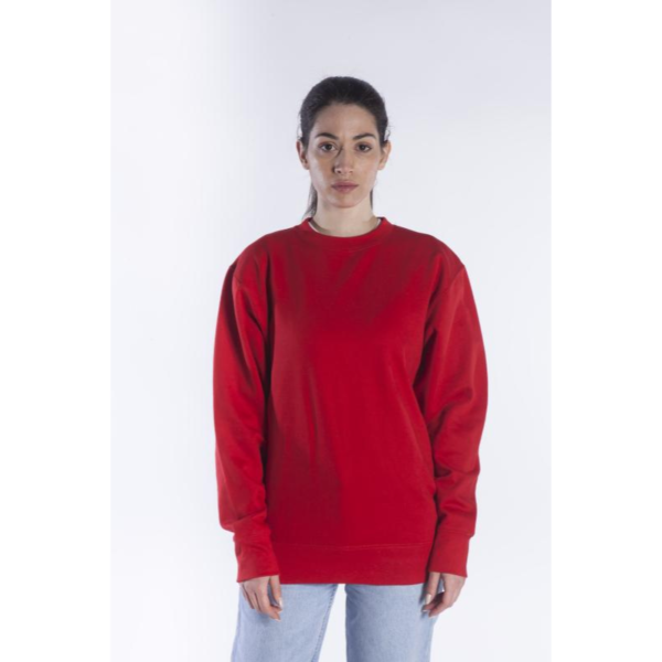 Sweatshirt (Τιμή με Κέντημα) - Image 2